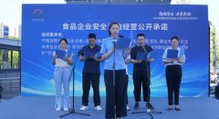  县域管理总体结构